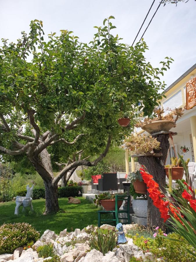 Apartmani I Sobe Jusic 拉布 外观 照片