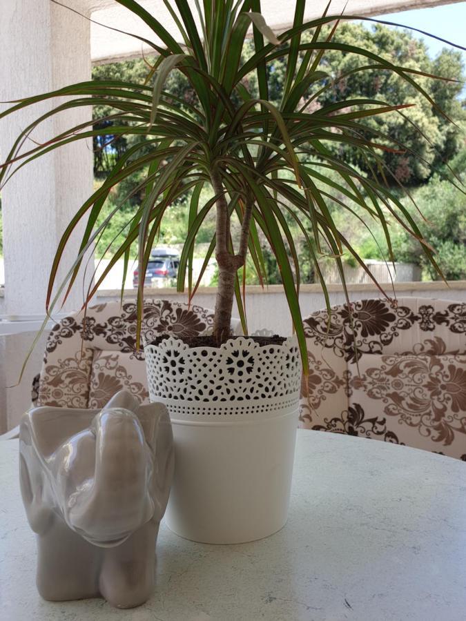 Apartmani I Sobe Jusic 拉布 外观 照片
